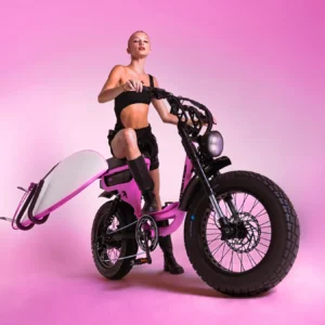 Alternative view of Flight Risk FR333