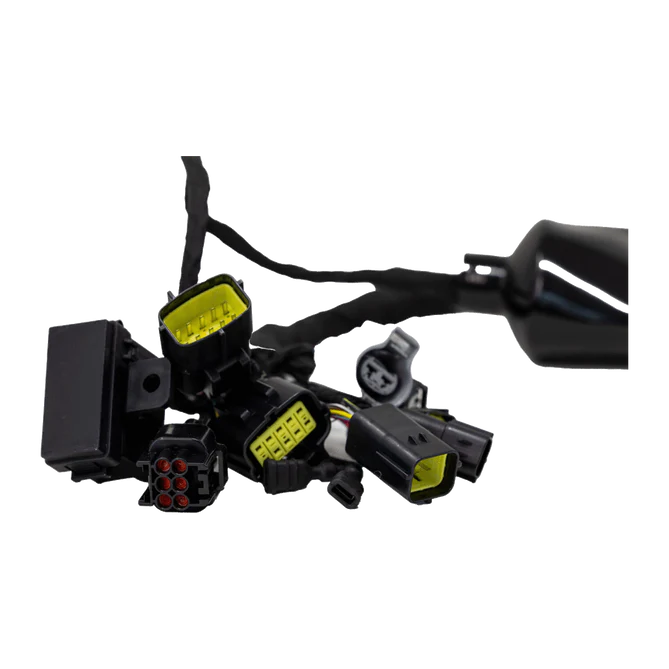 Ultra Bee Main Wire Harness - Image 4