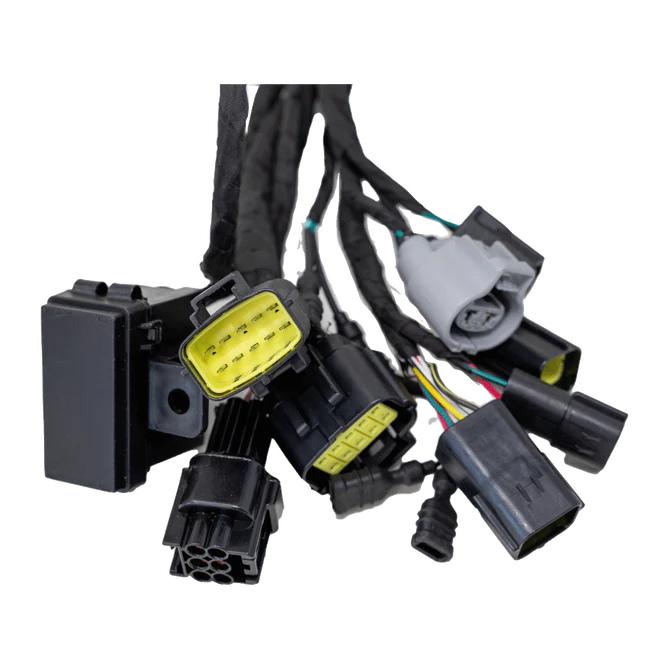 Ultra Bee Main Wire Harness - Image 3
