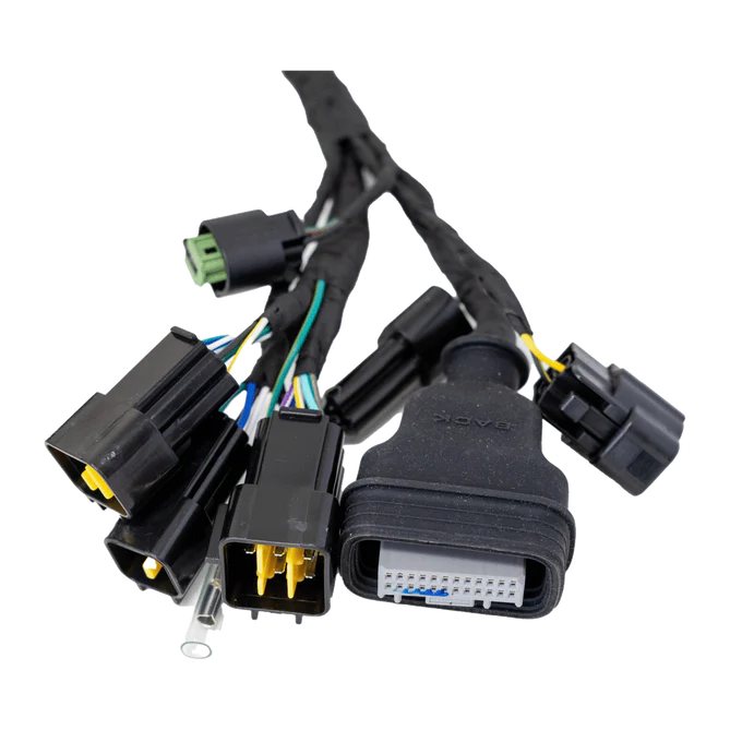 Ultra Bee Main Wire Harness - Image 2